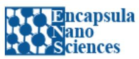 Encapsula NanoSciences