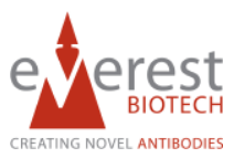 Everest Biotech.jpg