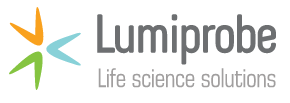 Lumiprobe