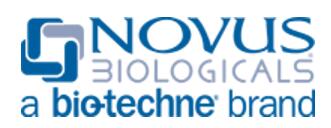 Novus Biologicals