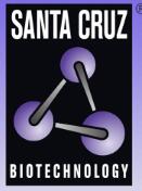 Santa Cruz Biotechnology