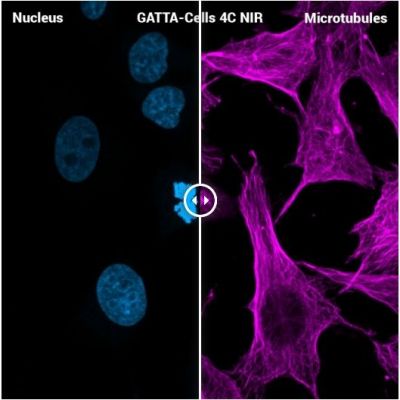 GattaQuant - GATTA-CELLS NIR