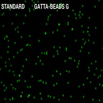 GattaQuant - GATTA-BEADS