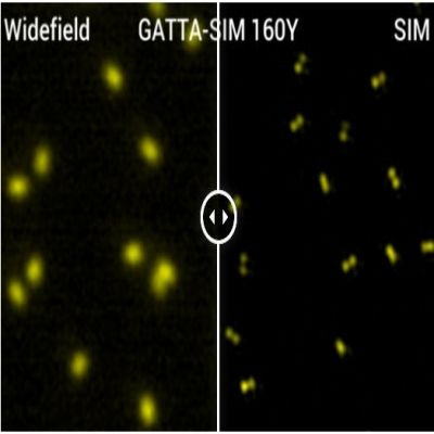 GattaQuant - GATTA-SIM NANORULER