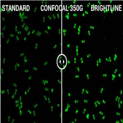 GattaQuant - GATTA-CONFOCAL NANORULER