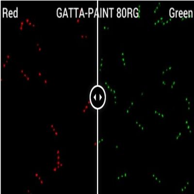 GattaQuant - GATTA-PAINT NANORULER