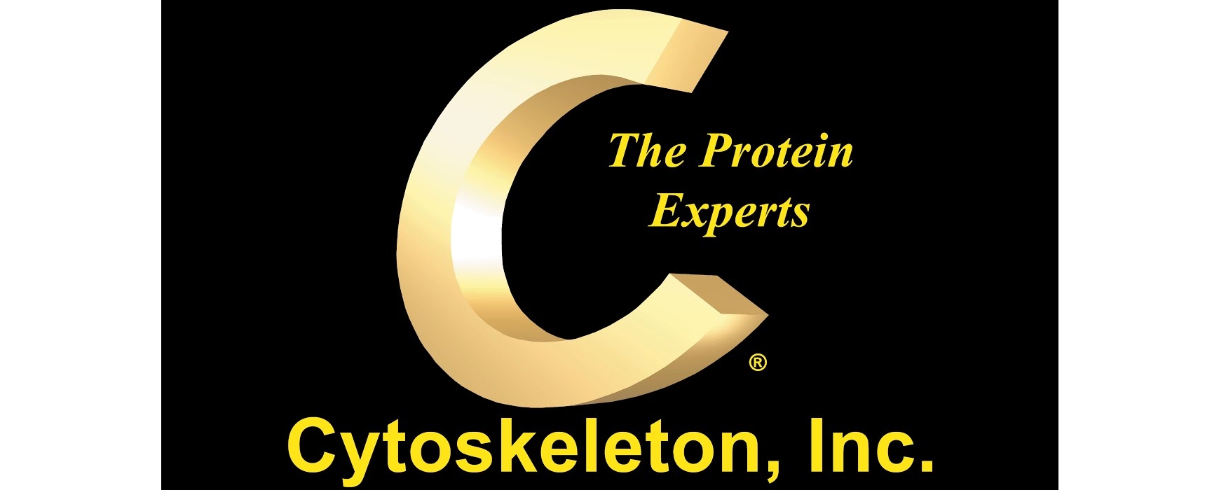 Cytoskeleton.jpg