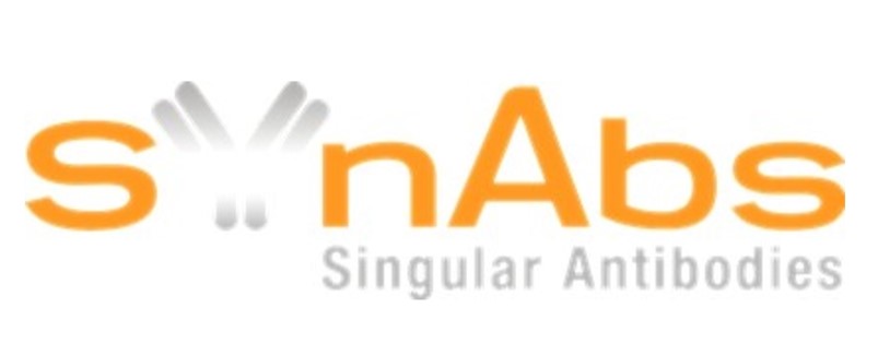 SYnAbs.jpg