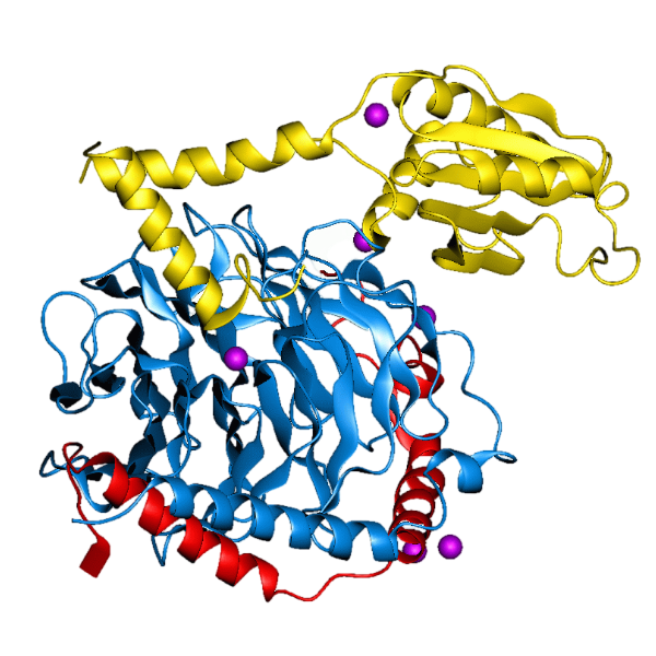 抗 Protein G 多克隆抗体 | Anti-Protein G Polyclonal Antibody
