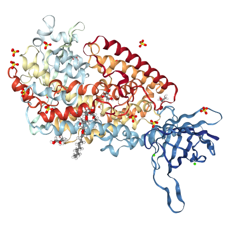 人15-Lipoxygenase 2蛋白 | Human 15-Lipoxygenase 2, 1-676aa, His-tag