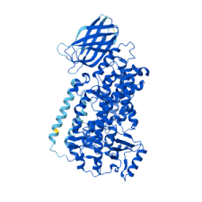 人Polyunsaturated Fatty Acid Lipoxygenase ALOX15蛋白