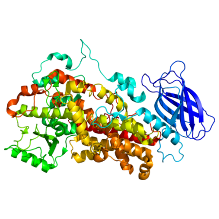 重组人12-LOX/ALOX12蛋白 | Recombinant Human 12-LOX/ALOX12, 1-663aa, His-tag