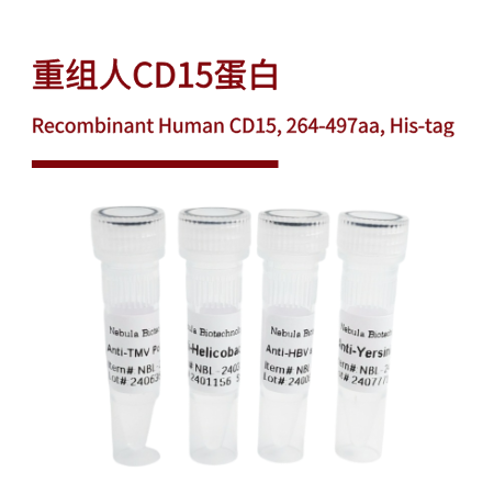 重组人CD15蛋白 | Recombinant Human CD15, 264-497aa, His-tag