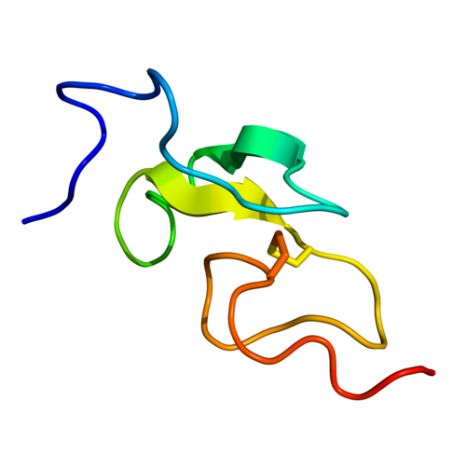 重组小鼠EGF蛋白 | Recombinant Mouse EGF, 977-1029aa, His-tag