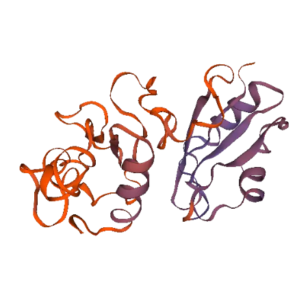 重组人NeuN蛋白 | Recombinant Human NeuN/RBFOX3, 1-105aa, His-tag