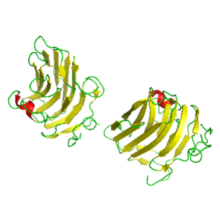 重组小鼠Agrin (AGRN)蛋白 | Recombinant Mouse Agrin (AGRN), 1130-1401aa, His-tag