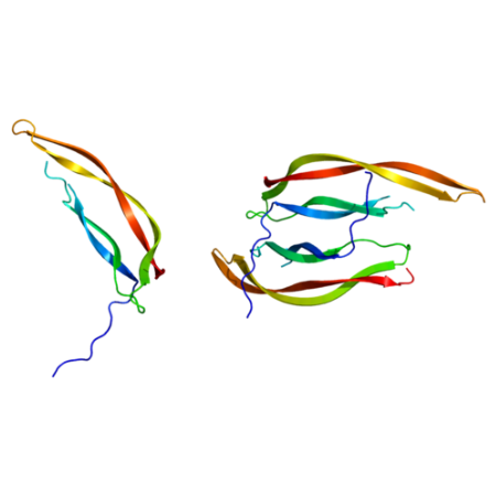 重组小鼠Platelet-Derived Growth Factor BB/PDGF-BB蛋白