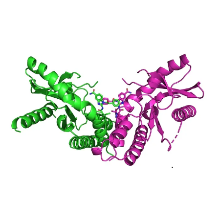 重组大鼠STING蛋白 | Recombinant Rat STING, 160-363aa, His-tag