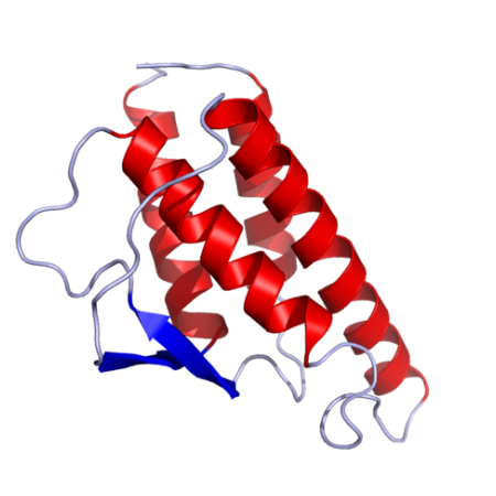 重组鸡IL-4蛋白 | Recombinant Chicken IL-4 Protein, 26-136aa, His-tag