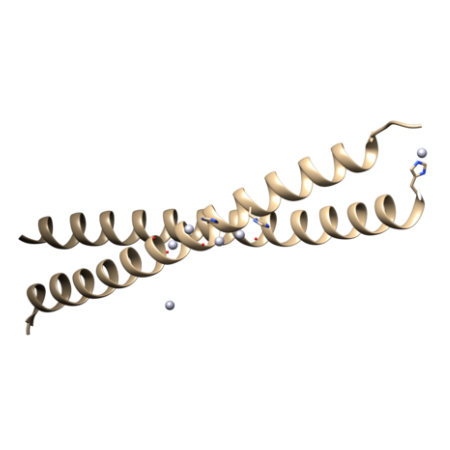 重组人MITF蛋白 | Recombinant Human MITF Protein, 1-520aa, His-tag