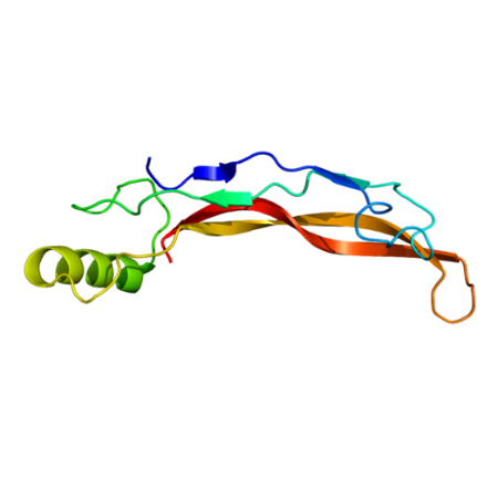 重组鸡BMP4蛋白 | Recombinant Chicken BMP4 Protein, 244-388aa, His-tag