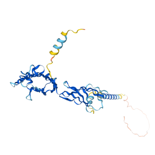 重组人SLAMF7/CRACC/CD319蛋白 | Human SLAMF7/CRACC/CD319, 1-226aa, His-tag