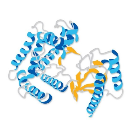 重组人Tau441蛋白 | Recombinant Human Tau441, 1-441aa, Tag-free