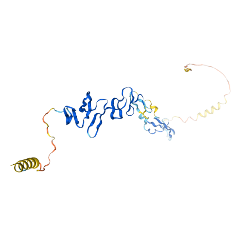 重组小鼠RSPO1蛋白 | Recombinant Mouse RSPO1, 21-209aa, His-tag