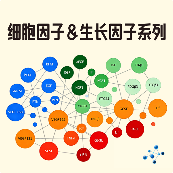 细胞因子&生长因子现货促销中