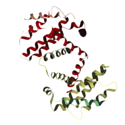 重组人Bcl-XL蛋白 | Recombinant Human Bcl-XL, 1-233aa, His-tag