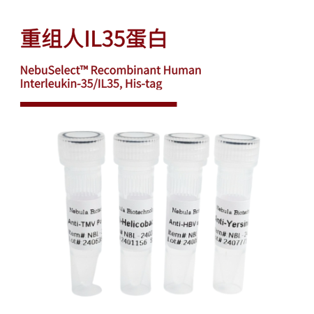 重组人IL35蛋白 | Recombinant Human Interleukin-35/IL35, His-tag