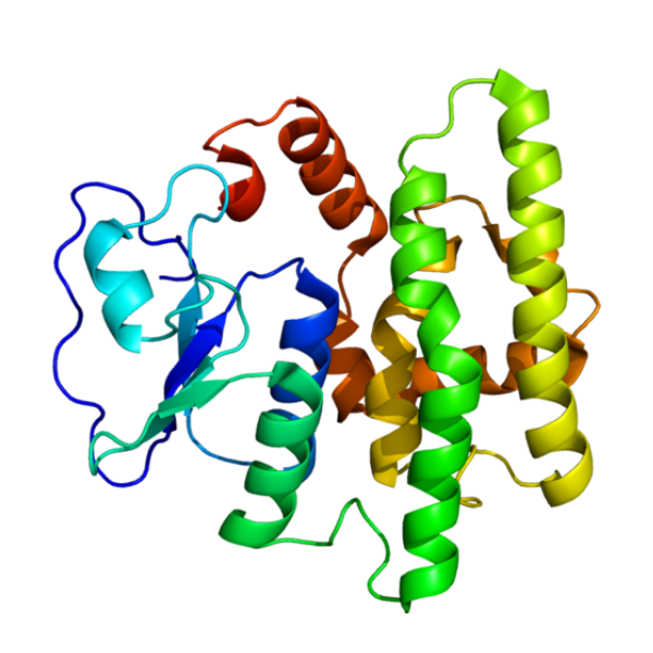 重组人GSTO1蛋白 | Recombinant Human GSTO1, 21-241aa, His-tag