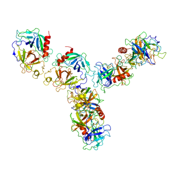 重组小鼠GZMA蛋白 | Recombinant Mouse GZMA, 36-260aa, His-tag