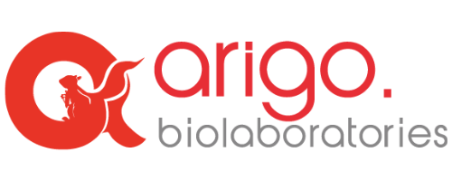 维百奥生物代理Arigo Biolaboratories品牌全系列产品