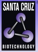 Santa Cruz Biotechnology.jpg