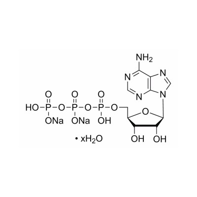 腺苷 5'-三磷酸 二钠盐 水合物 货号A2383.jpg