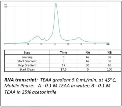 RNA-Transcript-.jpg