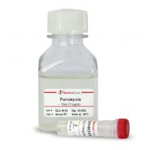 invivogen-puromycin.jpg