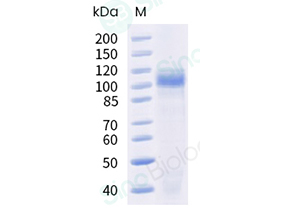 90994-C08H.jpg