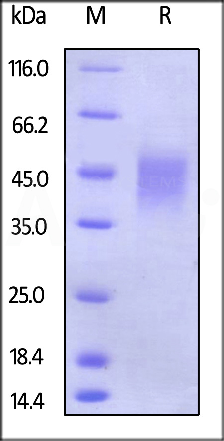 67e270c16c026.jpg CDB-H5222.jpg