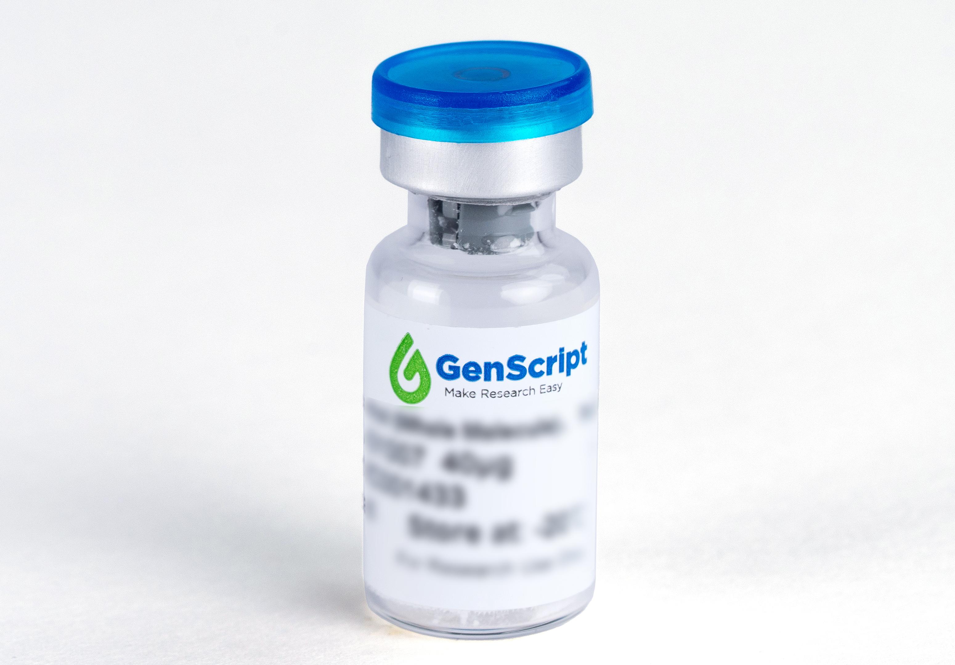 antibody03(1).jpg