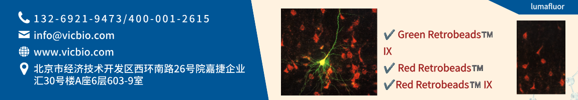 68b68110d57d9.png lumafluor页面.png