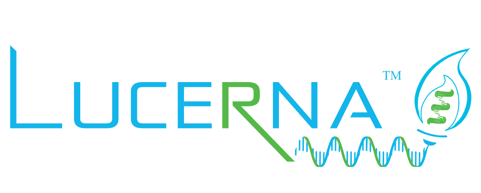 68c236fdc0865.png logo 2.5比1.png