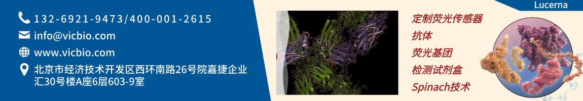 68c2372122609.png Lucerna页面.png