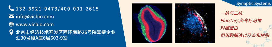 SynapticSystems页面.png