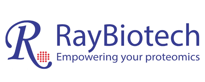 RayBiotech 2.5比1.jpg