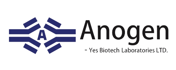 Anogen 2.5比1.jpg