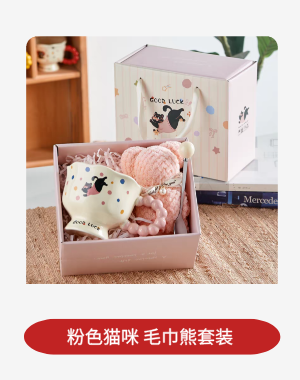 粉色猫咪 毛巾熊.png