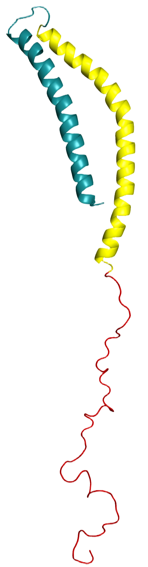 NBL-230019-alpha Synuclein(1).png