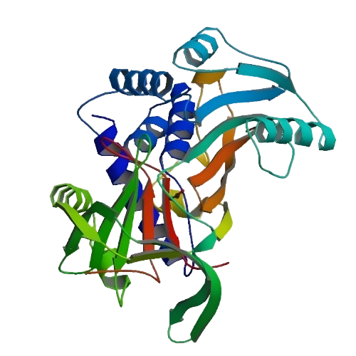 PBB_Protein_SERPINA3_image(1).png